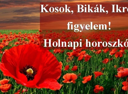 Kosok, Bikák, Ikrek figyelem! Holnapi horoszkóp