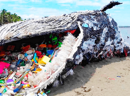 Ezek a fényképek bizonyítják, hogy az ember a legveszélyesebb élőlény a mi bolygónkra