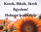 Kosok, Bikák, Ikrek figyelem! Holnapi horoszkóp