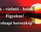 Bak - vízöntő - halak !Figyelem!Holnapi horoszkóp