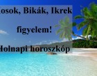 Kosok, Bikák, Ikrek figyelem! Holnapi horoszkóp