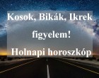 Kosok, Bikák, Ikrek figyelem! Holnapi horoszkóp