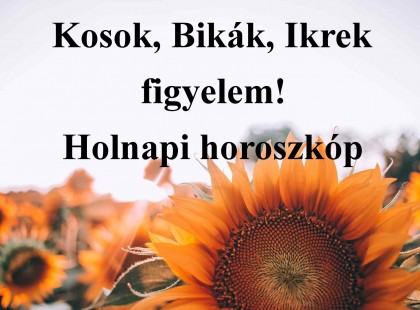 Kosok, Bikák, Ikrek figyelem! Holnapi horoszkóp