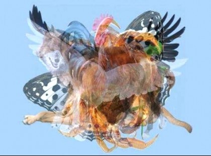 Személyiségteszt: Az agyad által észlelt első állat személyiséged rejtett dolgairól árulkodik