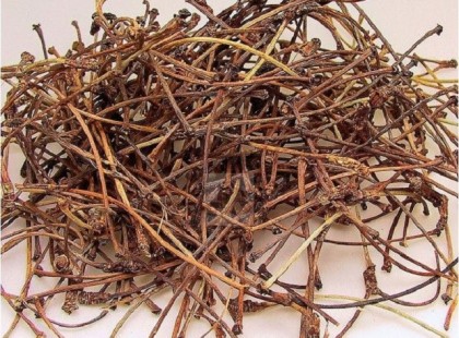 Ha eddig a kukában végezte a cseresznye szára feltétlenül olvasd el az alábbi cikket