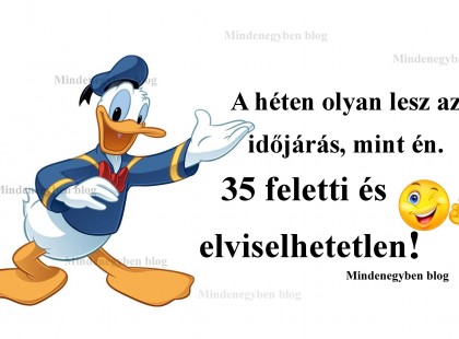 37 fokos kánikula lesz hétvégén !Itt az előrejelzés!