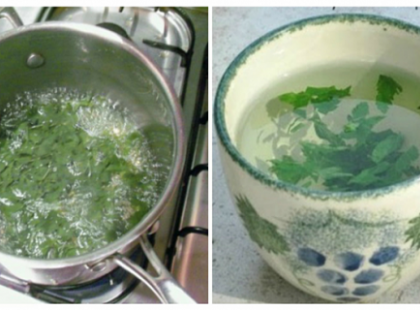 Ez a csodálatos fűszernövény… A nő szerdán 73 kg volt, szombaton már csak 68 kg