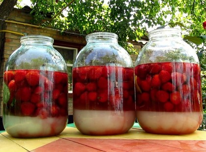 Gyümölcslikőr készült nálunk, most megmutatom, mi az én receptem