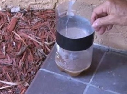 IDÉN NYÁRON KÜLÖNÖSEN SOK A SZÚNYOG: ITT EGY OLCSÓ ÉS JÓ MÓDSZER, AMIVEL TÁVOL TARTHATOD A BESTIÁKAT