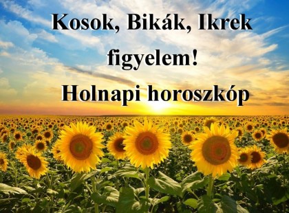 Kosok, Bikák, Ikrek figyelem! Holnapi horoszkóp