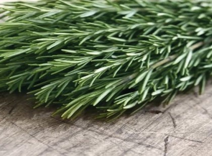 TUDÓSOK MEGTALÁLTÁK A NÖVÉNYT, AMELY SEGÍT A AZ ELBUTULÁS ELLEN, ÉS 75 SZÁZALÉKKAL JAVÍTJA A MEMÓRIÁT