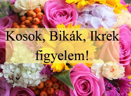 Kosok, Bikák, Ikrek figyelem! Holnapi horoszkóp