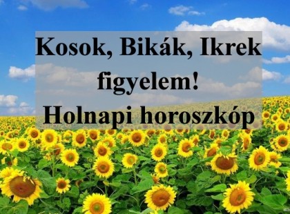 Kosok, Bikák, Ikrek figyelem! Holnapi horoszkóp