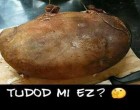 Ki tudja mi ez?