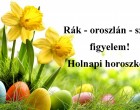 Rák - oroszlán - szűz figyelem! Holnapi horoszkóp