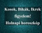 Kosok, Bikák, Ikrek figyelem! Holnapi horoszkóp