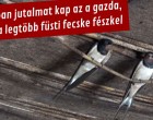 Szerbiában jutalmat kap az a gazda, akinél a legtöbb füsti fecske fészkel