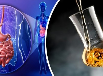 Remek gyulladáscsökkentő: és ez még CSAK EGY az ezer ok közül, miért jó a pálinka az egészségnek!