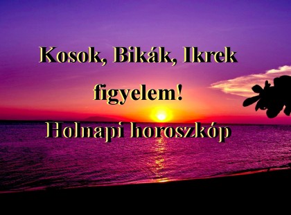 Kosok, Bikák, Ikrek figyelem! Holnapi horoszkóp