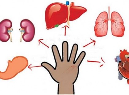 Minden ujjhoz köthető egy szerv – Nyomd 5 percig, hogy elmúljon a fájdalom