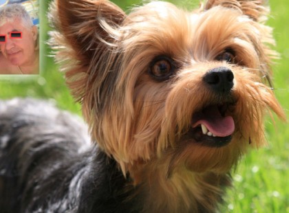 Kitették a netre a Siófoki kutyagyilkos fotóját. Tibor rettegésben él, fél nagyon