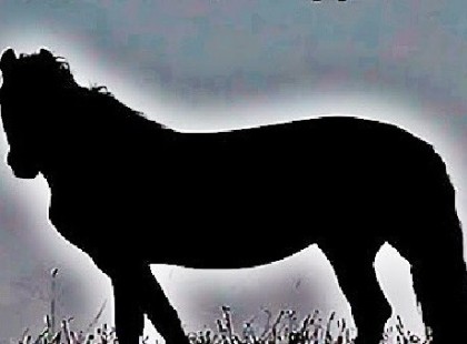 Szerinted melyik irányba néz a ló? Ezt árulja el rólad a válaszod – Teszt