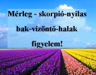 Mérleg - skorpió-nyilas -bak-vízöntő-halak figyelem!