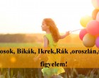 Kosok, Bikák, Ikrek,Rák ,oroszlán,szűz figyelem! Holnapi horoszkóp