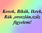 Kosok, Bikák, Ikrek,Rák ,oroszlán,szűz figyelem! Holnapi horoszkóp