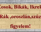 Kosok, Bikák, Ikrek,Rák ,oroszlán,szűz figyelem!holnapi horoszkóp