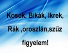 Kosok, Bikák, Ikrek,Rák ,oroszlán,szűz figyelem!holnapi horoszkóp