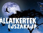 Augusztus 30-án rendezik meg az Állatkertek éjszakáját
