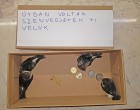 Ennyit ér négy fecskefióka élete