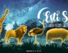 Exkluzív programmal vár a Debreceni Állatkert, indulnak az Esti séták