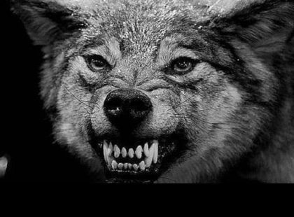 Ez a legkönyörtelenebb és a legveszélyesebb csillagjegy! Ő tőle óvakodj