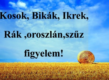 Kosok, Bikák, Ikrek,Rák ,oroszlán,szűz figyelem! Holnapi horoszkóp