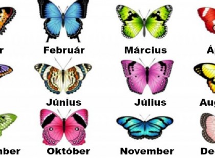 Lepkehoroszkóp: Válaszd ki a születési hónapodnak megfelelő pillangót, és nézd meg, mit árul el rólad