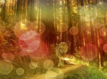 Az első állat, amit meglátsz a képen elárulja, hogyan változtál az idők során