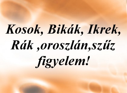 Kosok, Bikák, Ikrek,Rák ,oroszlán,szűz figyelem! Holnapi horoszkóp