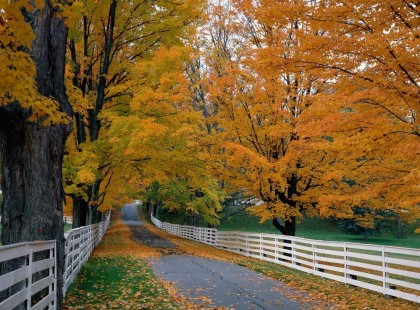 Ilyen lesz a szeptember! Még a meteorológusok is megdöbbentek, amikor megtudták, hogy milyen idő vár ránk idén ősszel! Itt az előrejelzés : sok a meglepetés!
