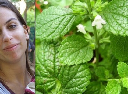 Ezt a növényt próbáld ki! Így szüntette meg nálam a puffadást,a herpeszt,de még a stresszt is!