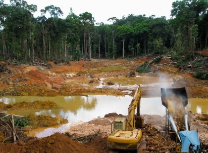 Semmiből nem tanulunk!A Föld megérett a pusztulásra: 2,5 millió fát vágnak ki az új nepáli repülőtér építése miatt