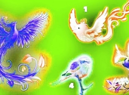 Melyik madarat választanád? Érdekes személyiségteszt, ami megmutatja milyen ember vagy