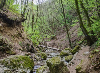 Kirándulás receptre