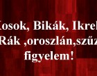 Kosok, Bikák, Ikrek,Rák ,oroszlán,szűz figyelem! Holnapi horoszkóp