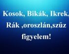 Kosok, Bikák, Ikrek,Rák ,oroszlán,szűz figyelem!