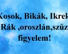 Figyelem!Kosok, Bikák, Ikrek,Rák ,oroszlán,szűz figyelem!