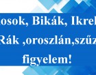 Kosok, Bikák, Ikrek,Rák ,oroszlán,szűz figyelem! Holnapi horoszkóp
