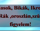 Kosok, Bikák, Ikrek,Rák ,oroszlán,szűz figyelem! Holnapi horoszkóp