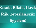 Kosok, Bikák, Ikrek,Rák ,oroszlán,szűz figyelem!holnapi horoszkóp